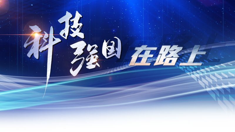 系统集成项目经理与工程师：角色定位与工作内容解析