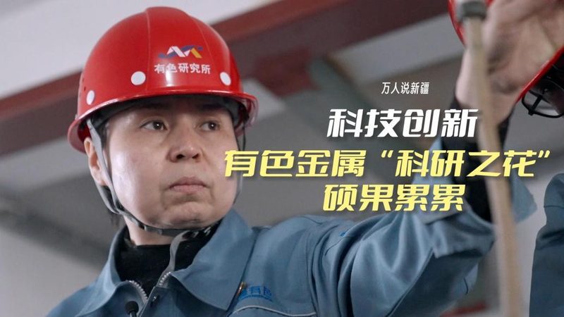 企业搜索系统代理：揭秘其核心价值与应用场景